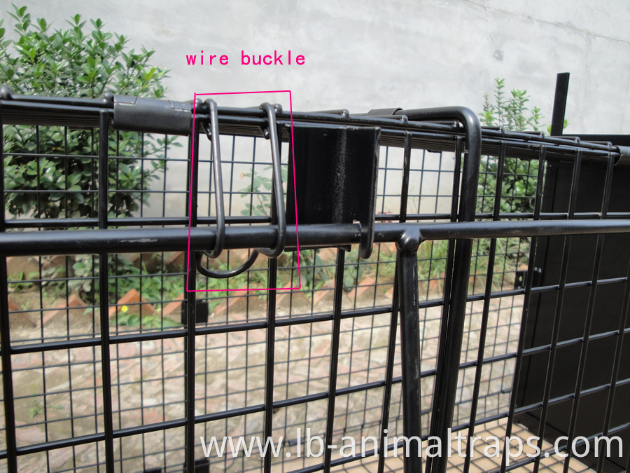 Rabbit Cat Hare Fox Bird Trap Humane Possum Cage Live Animal Safe Catch